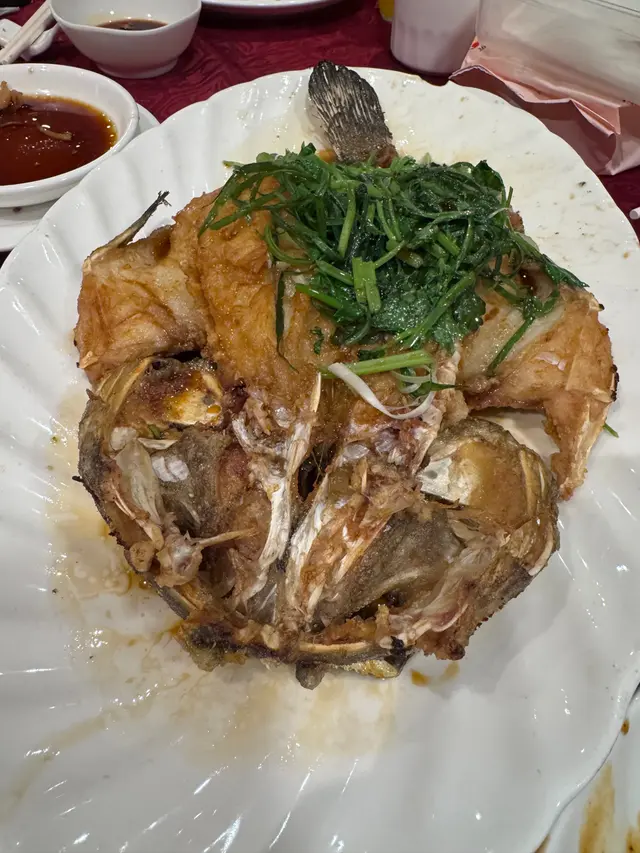 油浸虎杉班 👍🏻👍🏻 (必點,唔好叫清蒸,蒸魚自己屋企都整到)