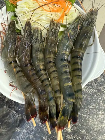 虾