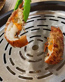 澳洲琵琶龍蝦