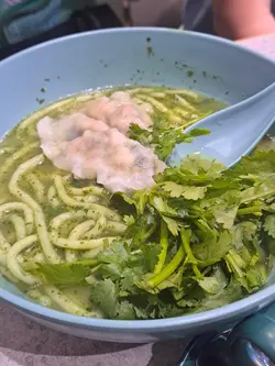 Cilantro Lover