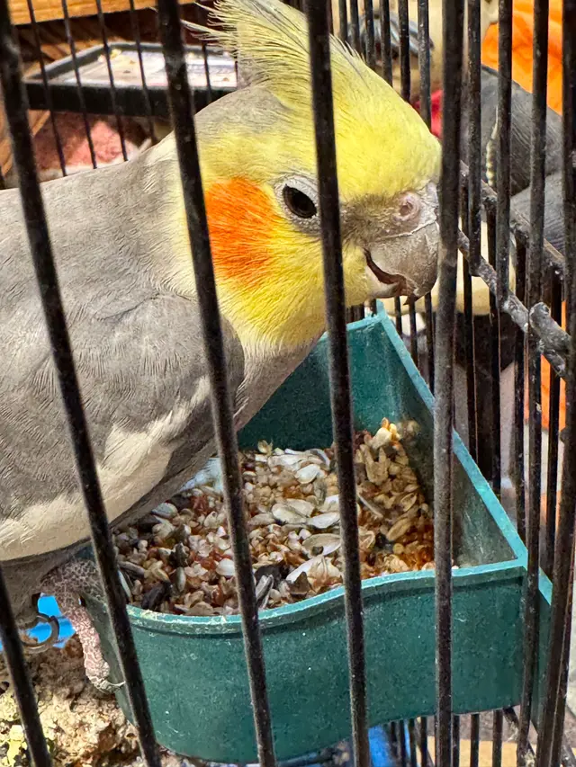 門外可愛的～我離開入lift時還叫我