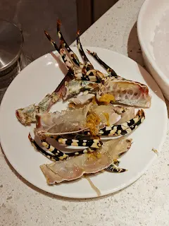 小青龍