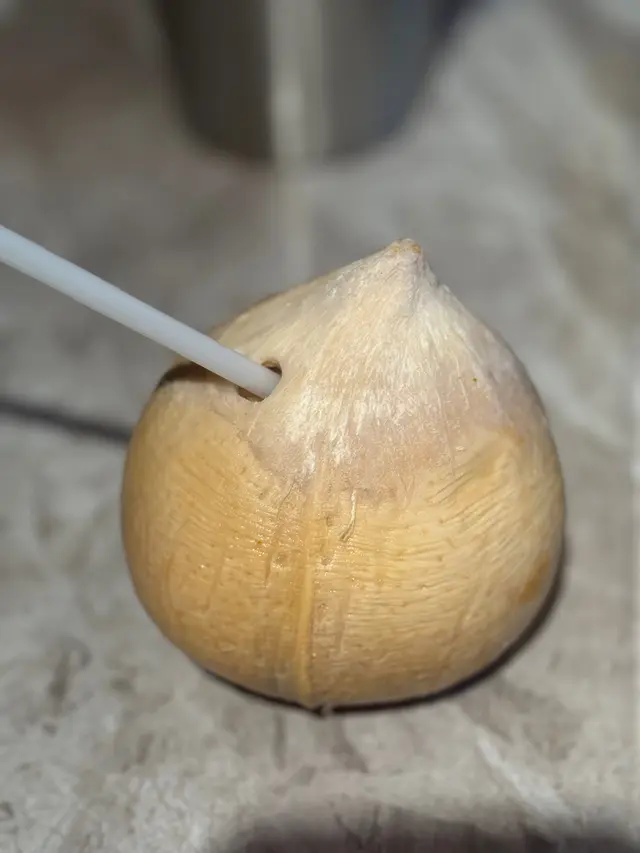 椰皇