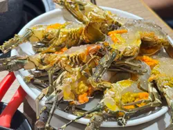 龍蝦🦞