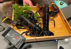 藍龍蝦