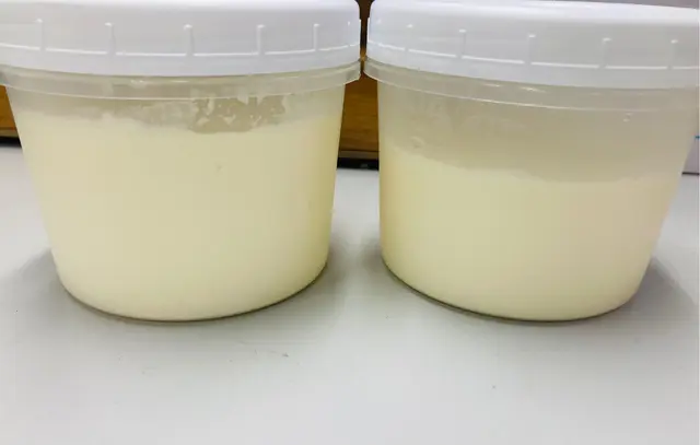 雙皮奶外賣，份量少得可憐，仲要一杯大杯細