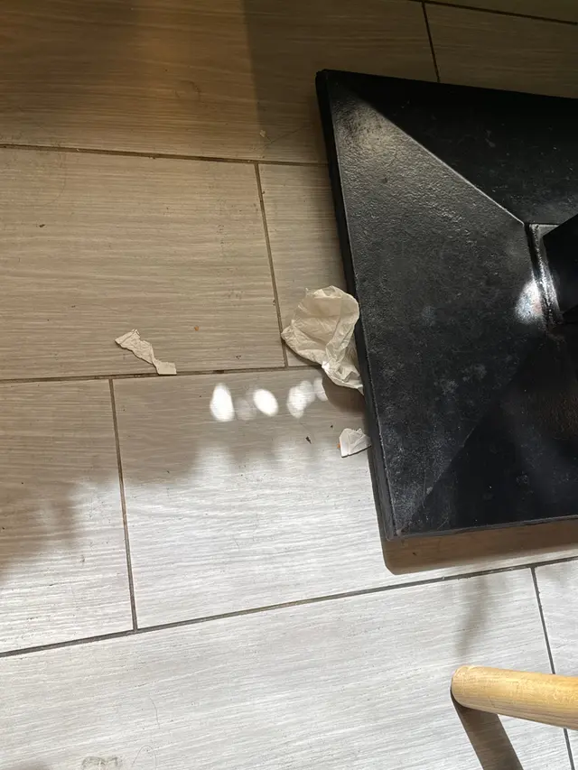 垃圾及食物碎一地都係