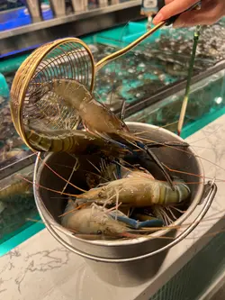 自助海鲜