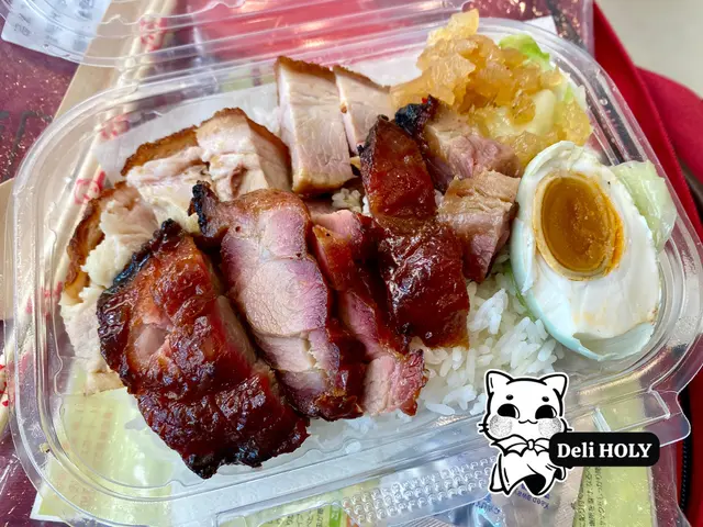 叉燒燒肉雙拼飯