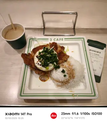 葱油鸡扒煎蛋饭