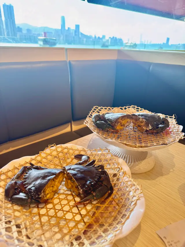 菲律賓黃奄蟹 🦀 罕有黃膏肉蟹 
