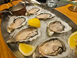 Fresh Oyster 