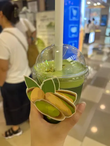 开心果芝士椰椰