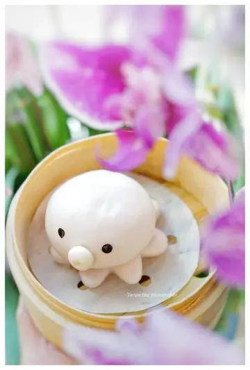 紫蓉八爪魚