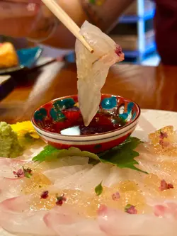 时令薄造土佐啫喱