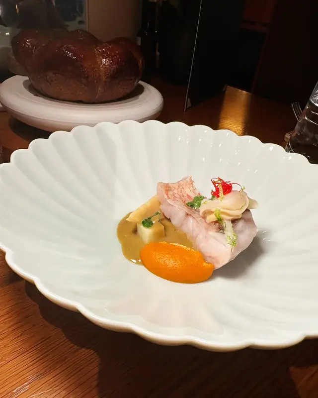 𝕋𝕚𝕝𝕖𝕗𝕚𝕤𝕙