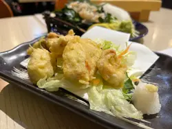 北海道白象拔蚌