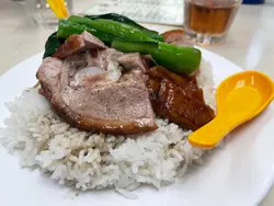 掛爐燒鴨飯（碟） 