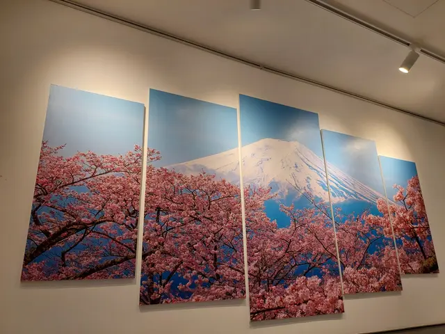 富士山, 櫻花樹下