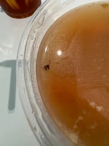 湯有小強下半身+腳，魚柳變咗司華力腸，店員完全冇通知