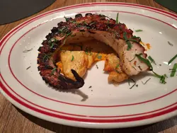 Charcoal grilled Squid