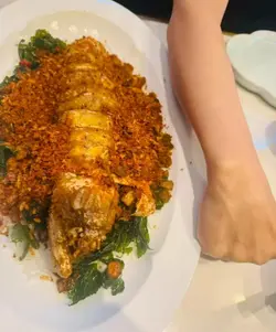 很好看的濑尿虾