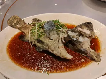 清蒸生孟龍躉斑