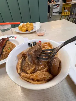 枝竹羊腩飯